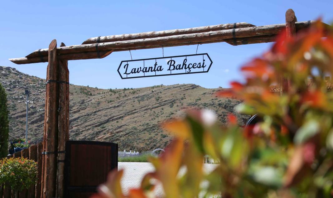 Renkleriyle büyülüyor, kokusuyla dinlendiriyor! Meram’da beklenen an geldi 7